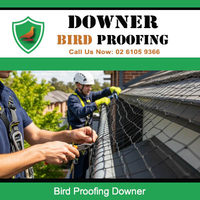 Professional technician installing bird proofing mesh on Downer roof to prevent pest birds